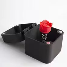 Box ze Środkowym Palcem/Kwiatem/Sercem